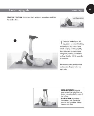 Healthy Hips Handbook: Exercises for Treating and Preventing Common Hip ...