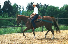 Alternative view 2 of Ultimate Horse Behavior and Training Book: Enlightened and Revolutionary Solutions for the 21st Century