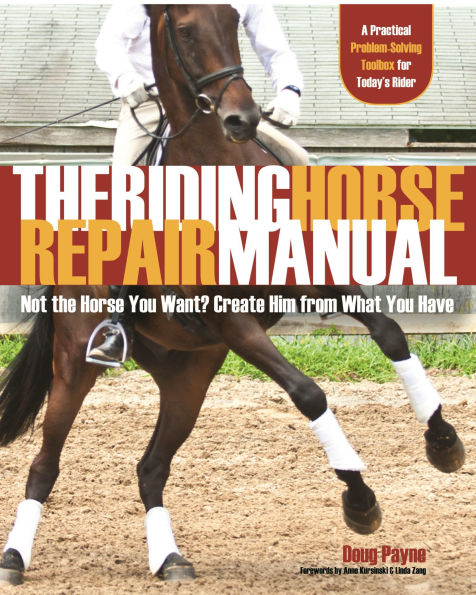 the Riding Horse Repair Manual: Not You Want? Create Him from What Have