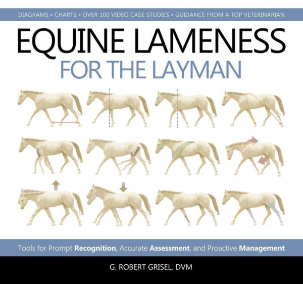 Equine Lameness for the Layman: Tools Prompt Recognition, Accurate Assessment, and Proactive Management