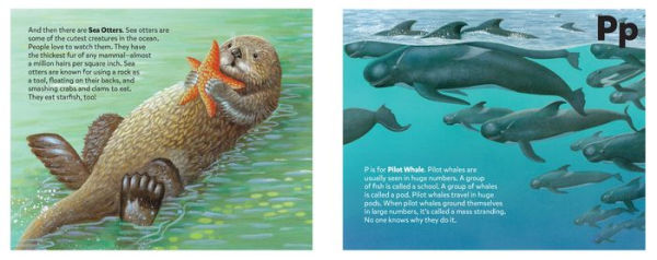 The Sea Mammal Alphabet Book