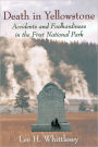 Death in Yellowstone: Accidents and Foolhardiness in the First National Park