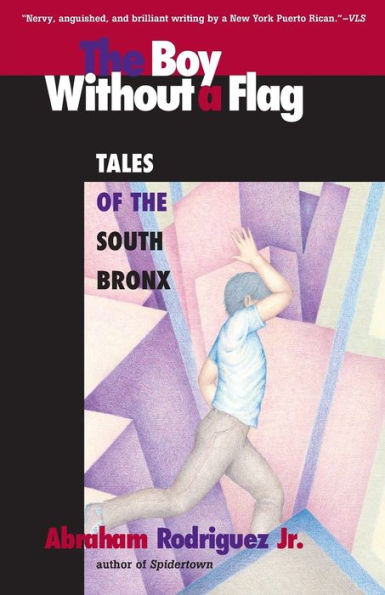 Boy without a Flag: Tales of the South Bronx