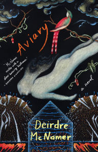 Free online ebook to download Aviary CHM by Deirdre McNamer (English literature) 9781571311429