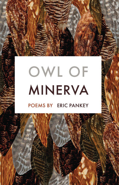 Owl of Minerva: Poems