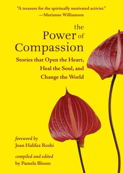 the Power of Compassion: Stories That Open Heart, Heal Soul, and Change World