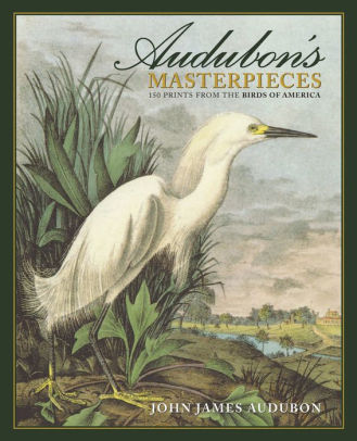 Audubon S Masterpieces 150 Prints From The Birds Of