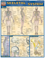 Title: Skeletal System: QuickStudy Laminated Reference Guide, Author: Vincent Perez