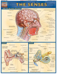 Title: Senses, Author: Vincent Perez