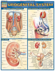 Title: Urogenital System: QuickStudy Laminated Reference Guide, Author: Vincent Perez