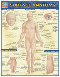 Title: Surface Anatomy, Author: Vincent Perez