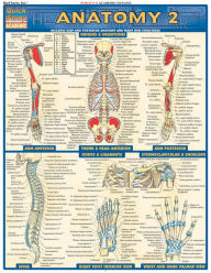 Title: Anatomy 2 - Reference Guide (8.5 x 11): a QuickStudy Laminated Reference Guide, Author: Vincent Perez