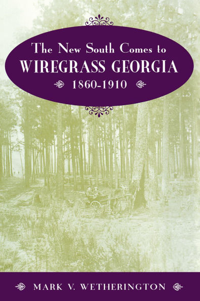 The New South Comes to Wiregrass Georgia, 1860-1910: 1860-1910