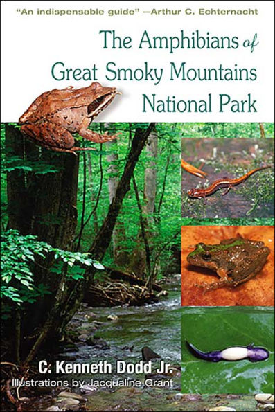 Amphibians Of Great Smoky Mountains: National Park