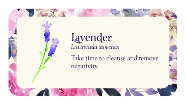 Flower Petals Inspiration Cards