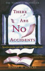 There Are No Accidents: Synchronicity and the Stories of Our Lives