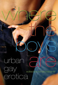 Title: Where the Boys Are: Urban Gay Erotica, Author: Richard Labonte