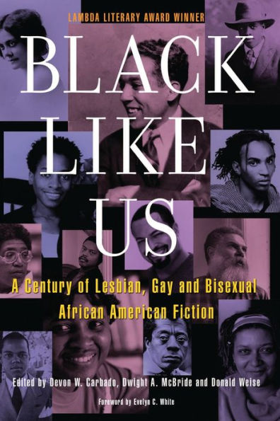 Black Like Us: A Century of Lesbian, Gay, and Bisexual African American Fiction