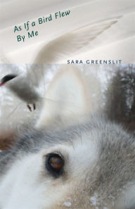 Title: As If a Bird Flew By Me: A Novel, Author: Sara Greenslit