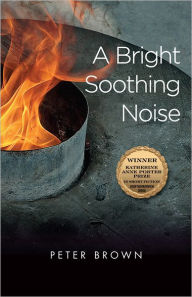 Title: A Bright Soothing Noise, Author: Peter Daniel Brown