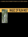 Magic of Ruin Mist: A Candid Look at Robert Stanek's Life, Work and Books