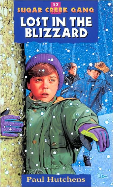 Lost in the Blizzard (Sugar Creek Gang Series #17)