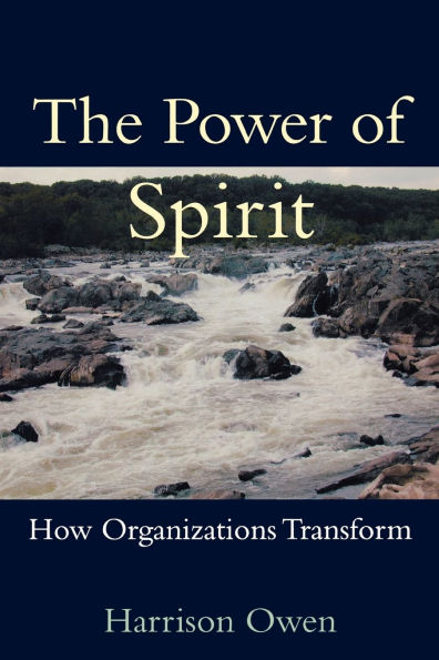Power of Spirit: How Organizations Transform