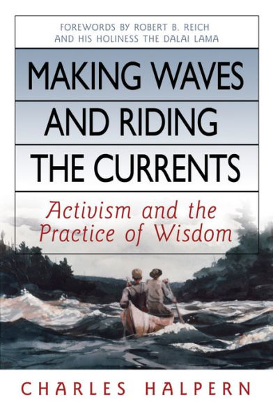 Making Waves and Riding the Currents: Activism Practice of Wisdom / Edition 1