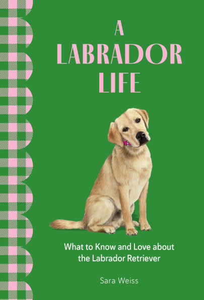 A Labrador Life: What to Know and Love About the Labrador Retriever