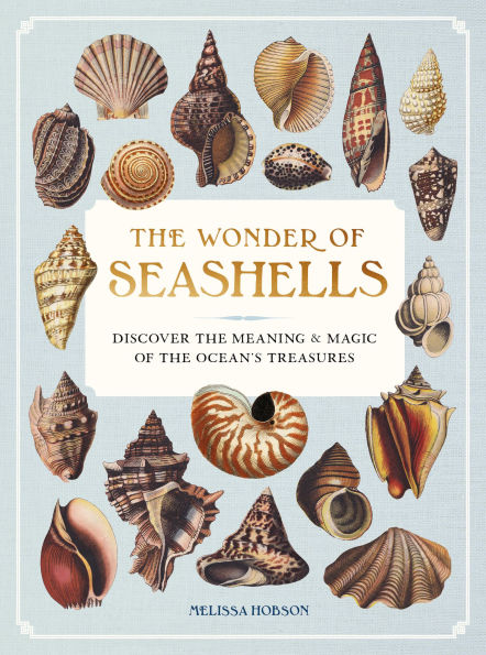 the Wonder of Seashells: Discover Meaning & Magic Ocean's Treasures
