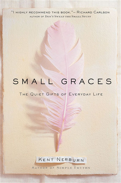Small Graces: The Quiet Gifts of Everyday Life