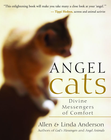 Angel Cats: Divine Messengers of Comfort