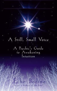 Title: A Still, Small Voice: A Psychic's Guide to Awakening Intuition, Author: Echo Bodine