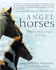 Title: Angel Horses: Divine Messengers of Hope, Author: Allen Anderson