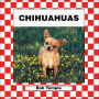 Chihuahuas