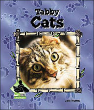 Title: Tabby Cats, Author: Julie Murray