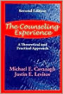 Counseling Experience: A Theoretical and Practical Approach / Edition 2