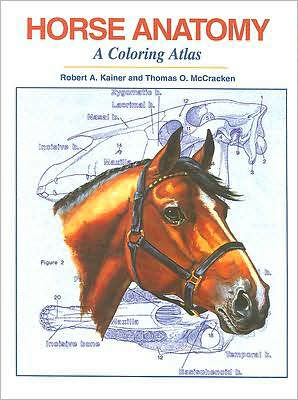 Horse Anatomy: A Coloring Atlas / Edition 2