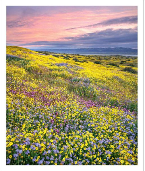 Barnes and Noble 2023 Sierra Club Wilderness Calendar The Summit