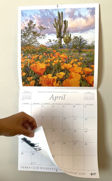 2025 Sierra Club Wilderness Calendar