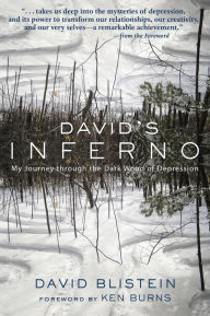 Title: David's Inferno: My Journey Through the Dark Wood of Depression, Author: David Blistein