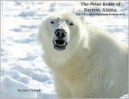 Polar Bears of Barrow, Alaska