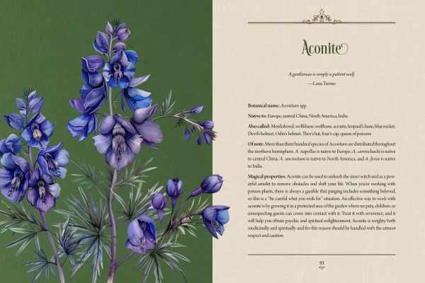 Enchanted Plants: A Treasury of Botanical Folklore and Magic