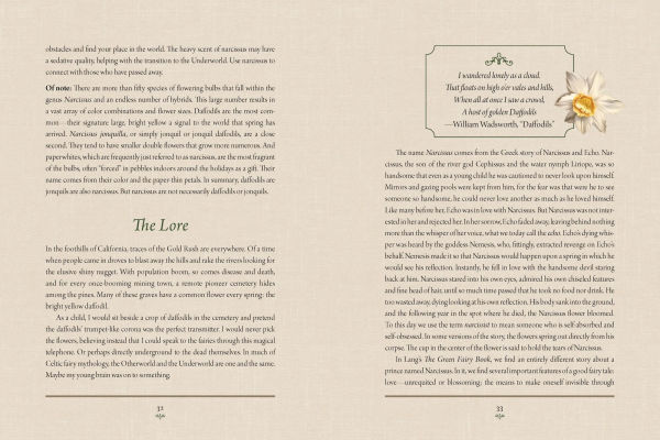 Enchanted Plants: A Treasury of Botanical Folklore and Magic