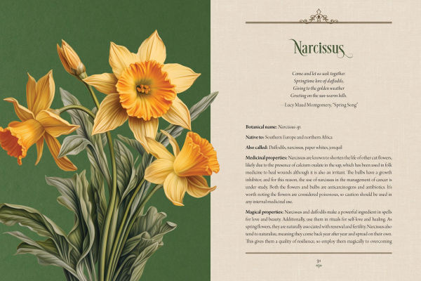 Enchanted Plants: A Treasury of Botanical Folklore and Magic