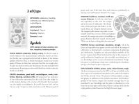Alternative view 3 of Tarot Disassembled Guidebook: Deconstructing the Symbols of the Major and Minor Arcana
