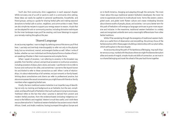 The Apothecary of Belonging: Seasonal Rituals and Practical Herbalism