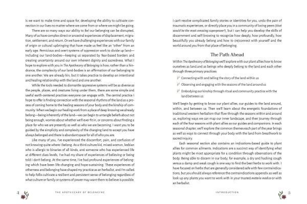 The Apothecary of Belonging: Seasonal Rituals and Practical Herbalism