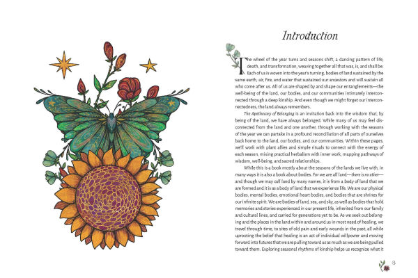 The Apothecary of Belonging: Seasonal Rituals and Practical Herbalism