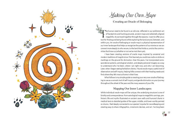 The Apothecary of Belonging: Seasonal Rituals and Practical Herbalism